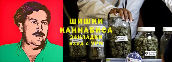 ГАЛЛЮЦИНОГЕННЫЕ ГРИБЫ Алзамай