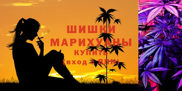 гидра Абаза