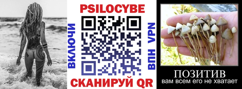 купить   Куртамыш  Галлюциногенные грибы Magic Shrooms 