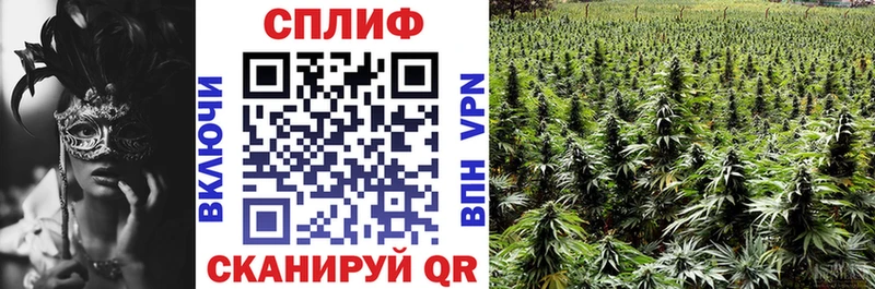 наркота  Куртамыш  shop телеграм  Шишки марихуана Ganja 